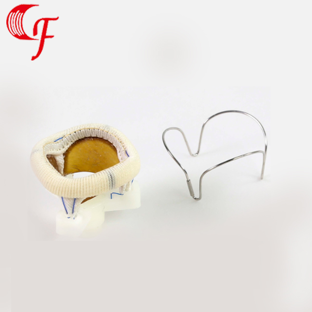 心臟瓣膜瓣架（Heart valve frame）